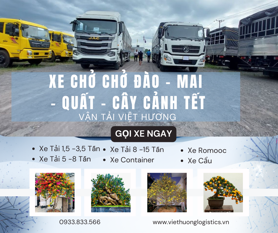 Phương tiện vận chuyển và cách thức di chuyển Để chở Đào - Mai - Quất - Cây Cảnh Tết 2026