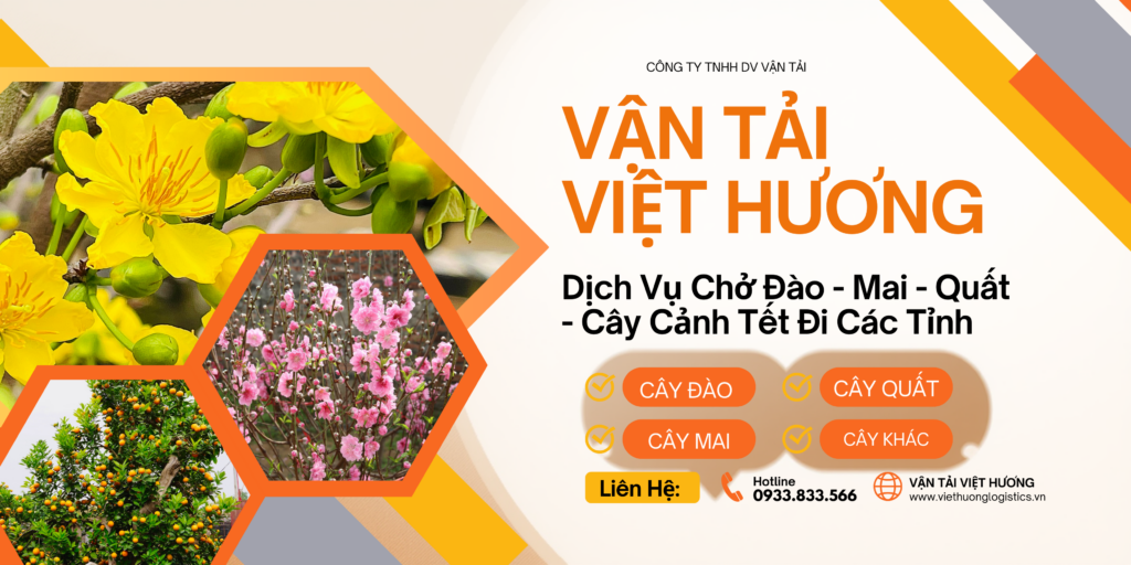 Chở Đào - Mai - Quất - Cây Cảnh Tết 2026 tại Viet Hương